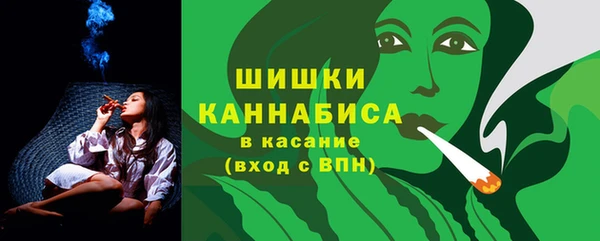 ECSTASY Осинники