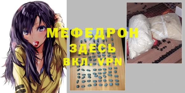 индика Осташков